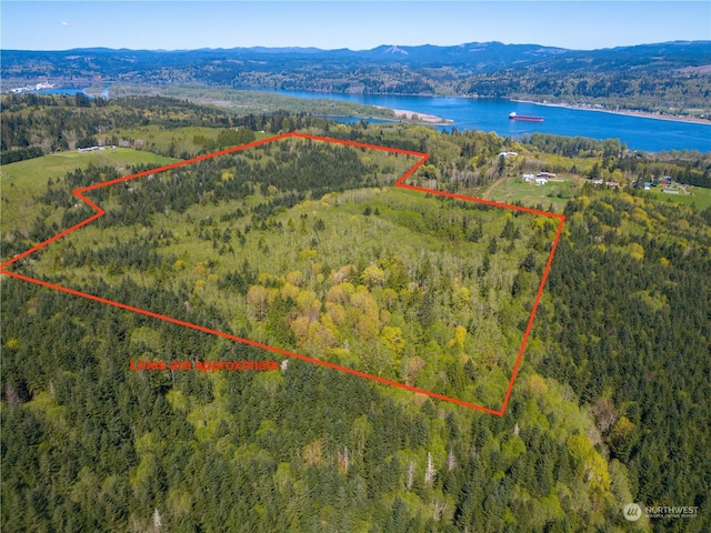 0 Bodine Rd, Clatskanie, OR 97016