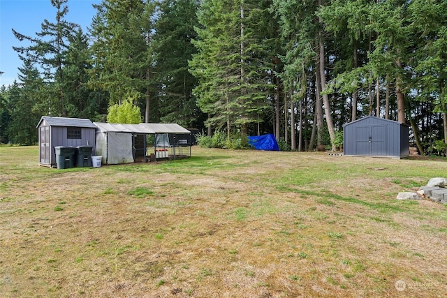 view of yard with a storage unit