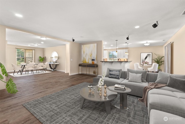 living room with dark wood-type flooring