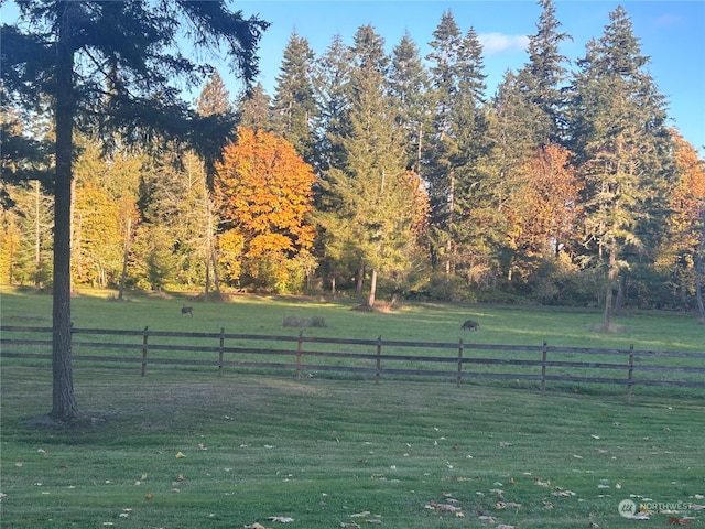 view of yard with a rural view