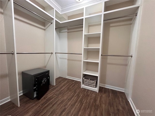 walk in closet featuring dark hardwood / wood-style floors