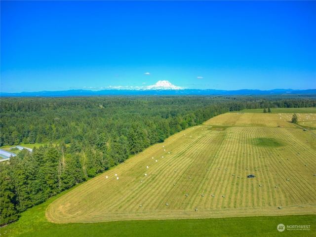 bird's eye view featuring a rural view