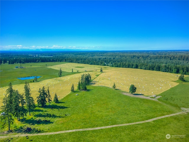 aerial view with a rural view