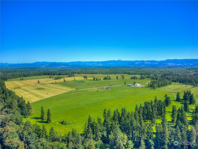 aerial view with a mountain view