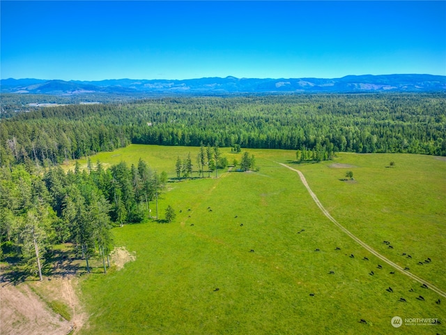 aerial view with a mountain view