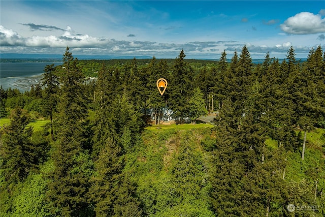8167 Possession Ridge Ln, Clinton, WA 98236 - aerial view