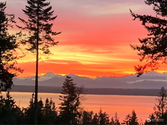 8167 Possession Ridge Ln, Clinton, WA 98236 - property view of mountains with a water view