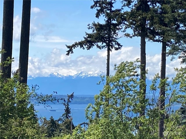 8167 Possession Ridge Ln, Clinton, WA 98236 - view of water feature
