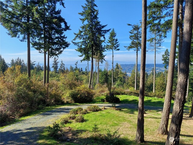 8167 Possession Ridge Ln, Clinton, WA 98236 - exterior space