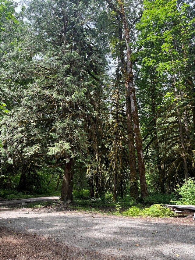 0 W Cascade Way Unit D3-20, Marblemount, WA 98237