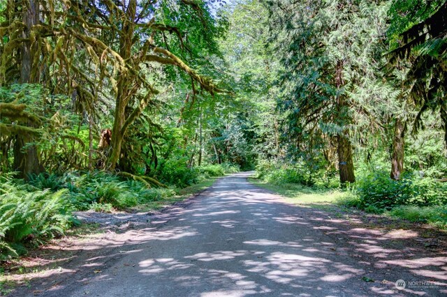 0 W Cascade Way Unit D3-20, Marblemount, WA 98237