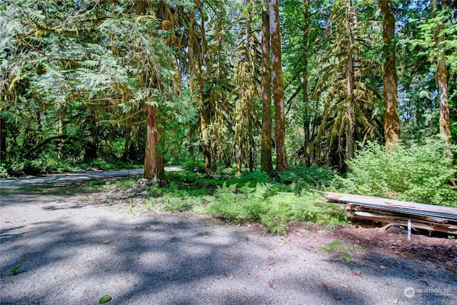 0 W Cascade Way Unit D3-20, Marblemount, WA 98237