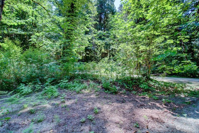 0 W Cascade Way Unit D3-20, Marblemount, WA 98237