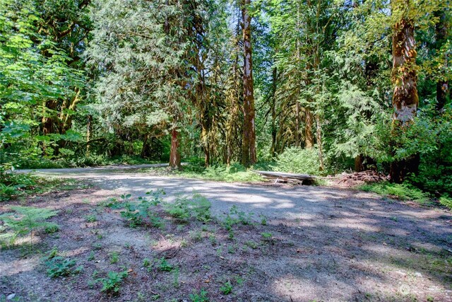 0 W Cascade Way Unit D3-20, Marblemount, WA 98237