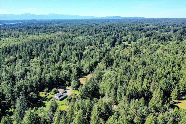 7106 161st Ave NW, Lakebay, WA 98349 - photo 7