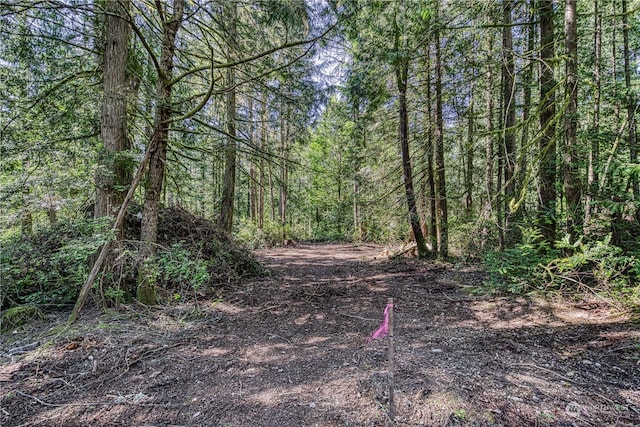 7106 161st Ave NW, Lakebay, WA 98349 - photo 10