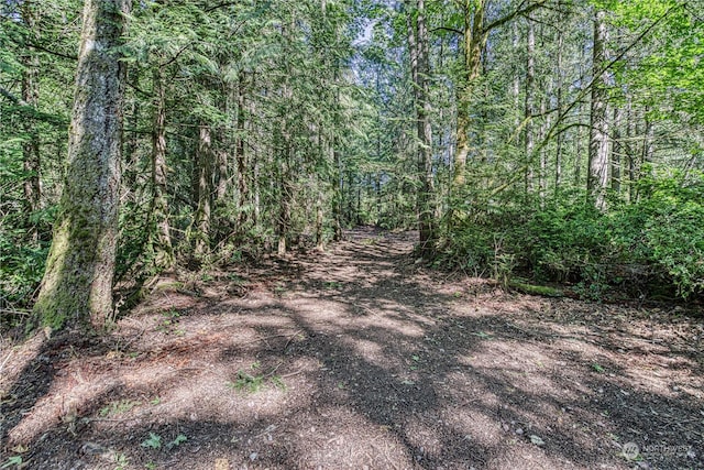 7106 161st Ave NW, Lakebay, WA 98349 - photo 11