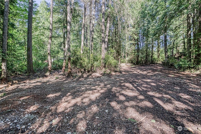 7106 161st Ave NW, Lakebay, WA 98349 - photo 12