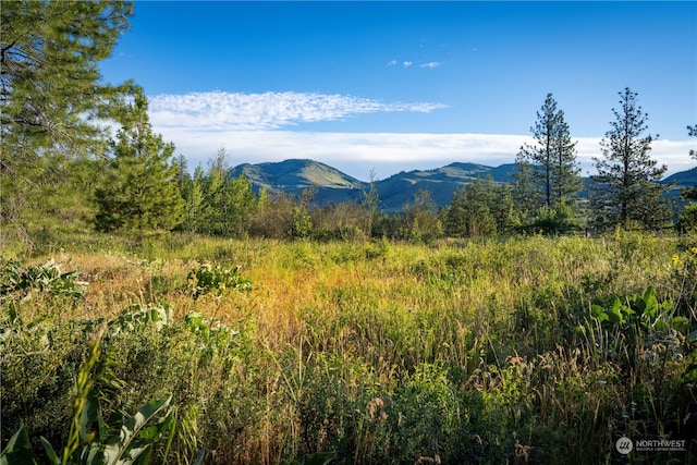 property view of mountains