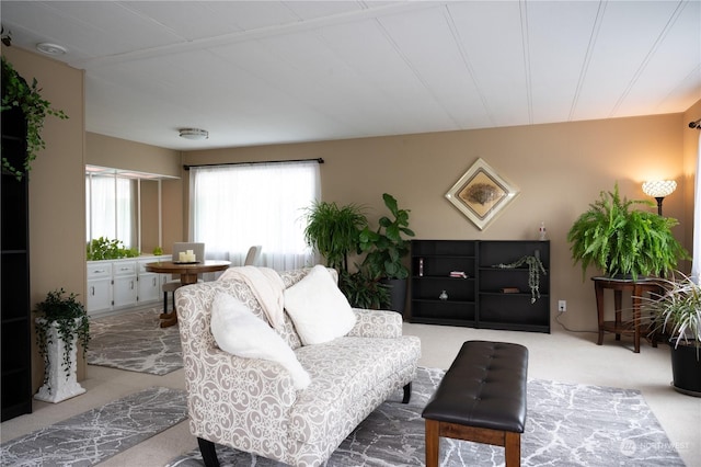 living room featuring carpet floors