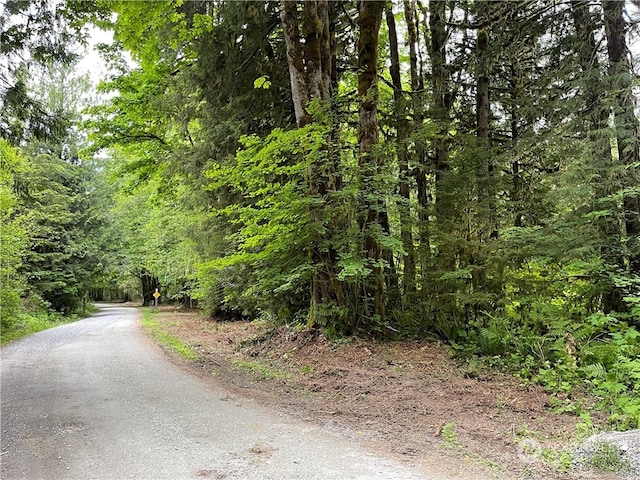 0 Emerald Ln, Marblemount, WA 98267
