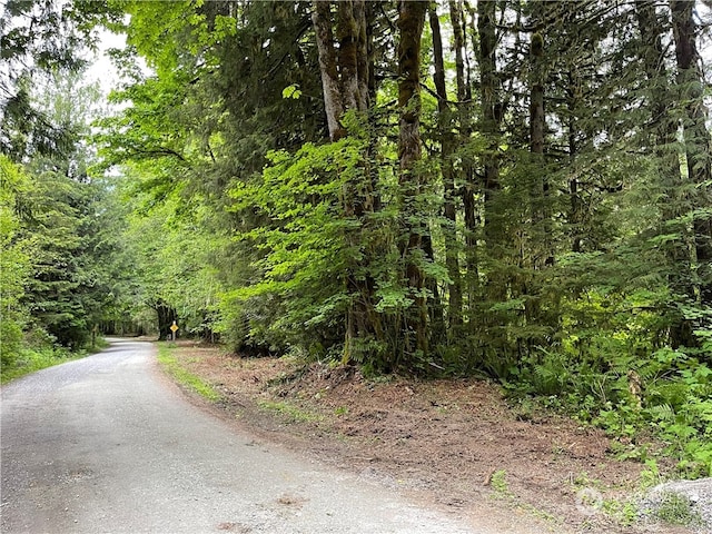 0 Emerald Ln, Marblemount WA, 98267 land for sale