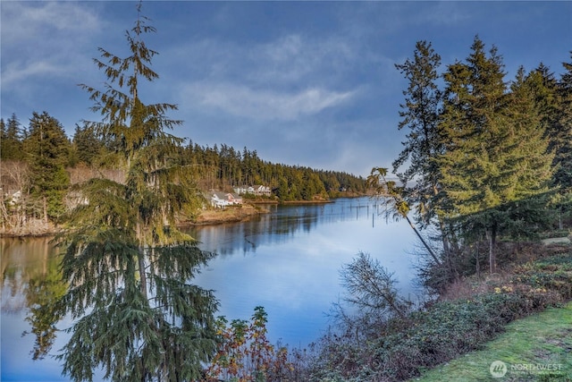 water view with a wooded view