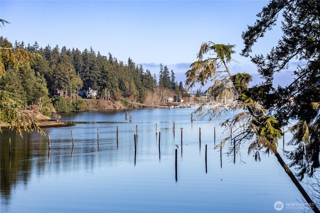 water view featuring a view of trees