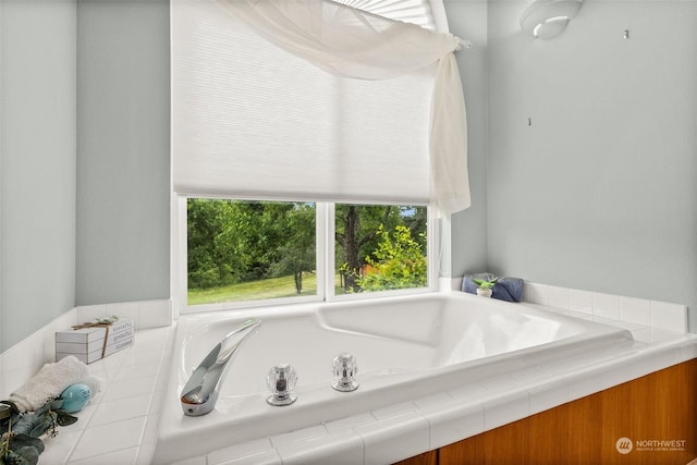 bathroom with a bathtub