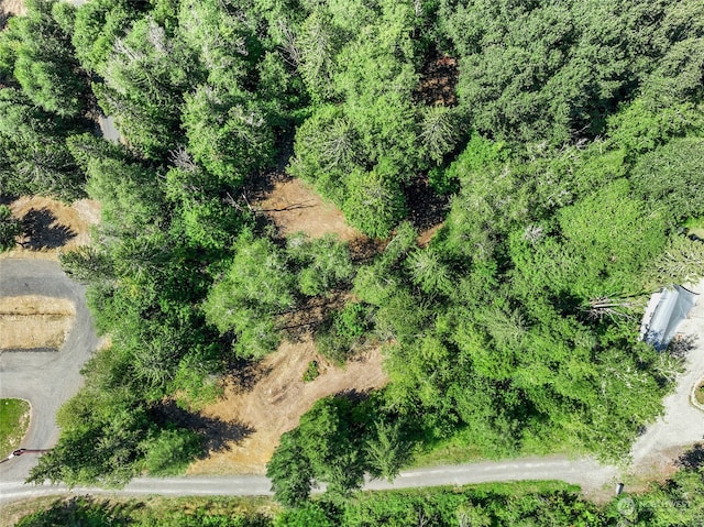 231 Oxbow Lake Ln, Toledo, WA 98591