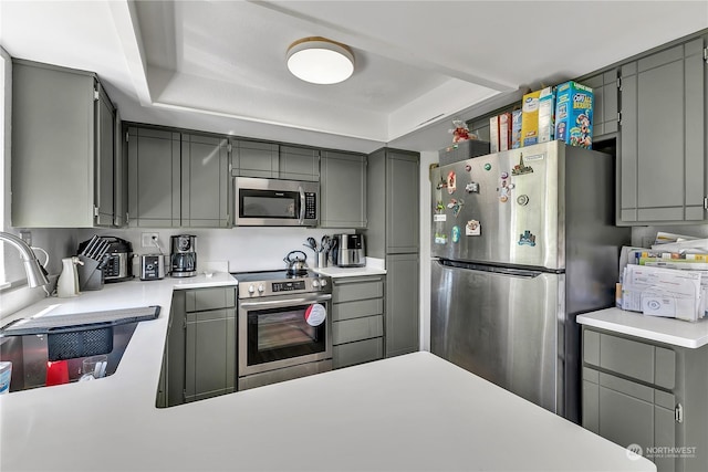 kitchen with gray cabinetry, a raised ceiling, and stainless steel appliances