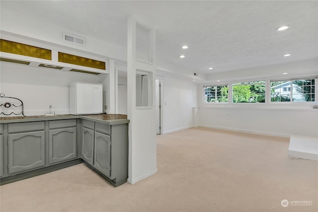 kitchen with gray cabinets, light carpet, and sink