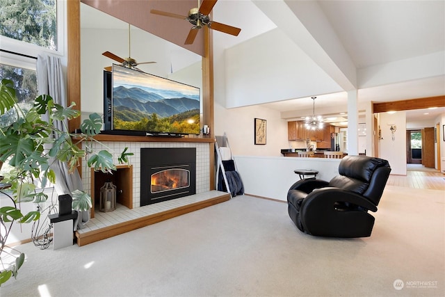 carpeted living room featuring a high ceiling, a healthy amount of sunlight, a fireplace, and ceiling fan with notable chandelier