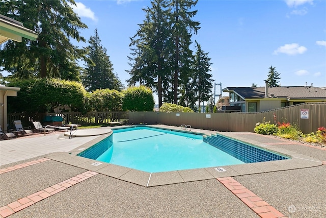 view of swimming pool with a patio area