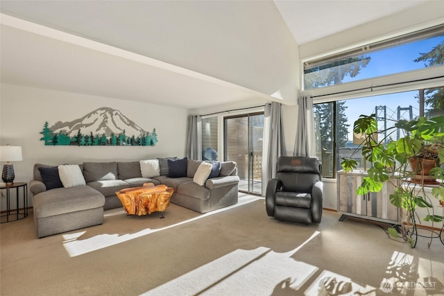 living room with carpet flooring and a high ceiling