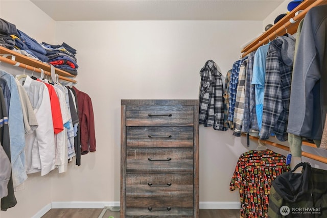 walk in closet featuring wood-type flooring