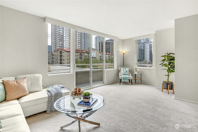 view of carpeted living room