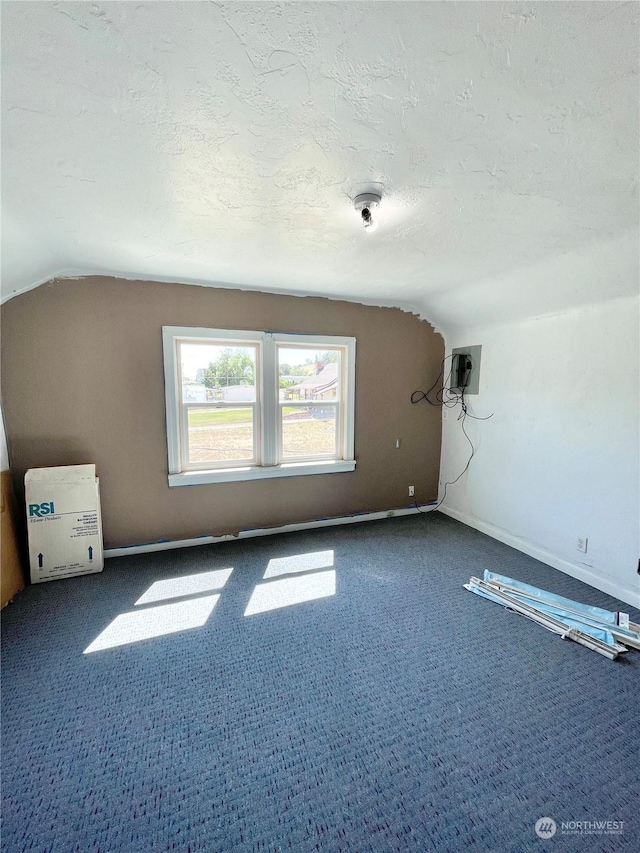 1579 2nd Ave N, Okanogan, WA 98840 - bonus room featuring vaulted ceiling, dark colored carpet, a textured ceiling, and baseboards