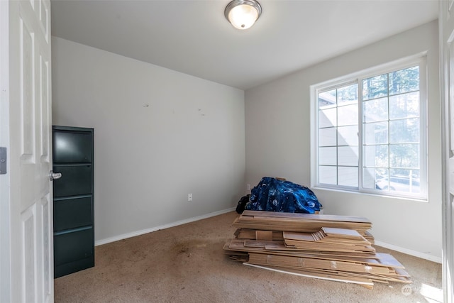 bedroom featuring carpet floors