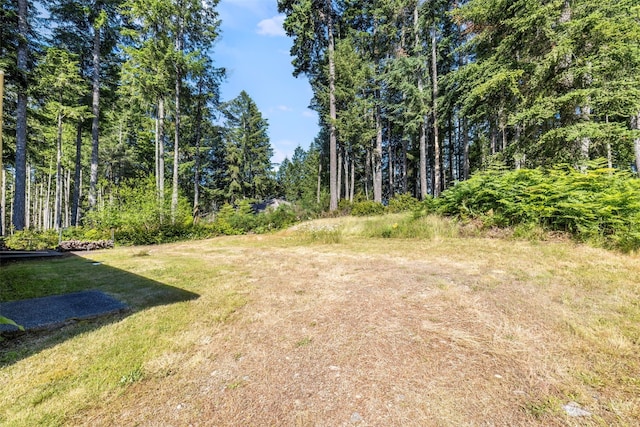 30 E Paint Brush Ln, Union, WA 98592 - photo 21