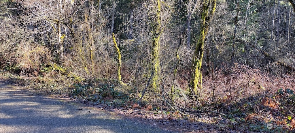 5803 Marks Rd NW, Bremerton, WA 98312