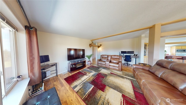 living room featuring hardwood / wood-style flooring