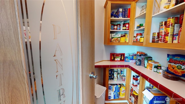 view of pantry