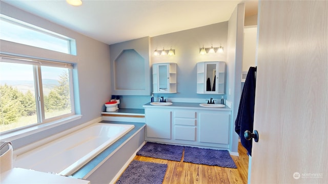 bathroom with a wealth of natural light, dual vanity, hardwood / wood-style flooring, and a bathing tub