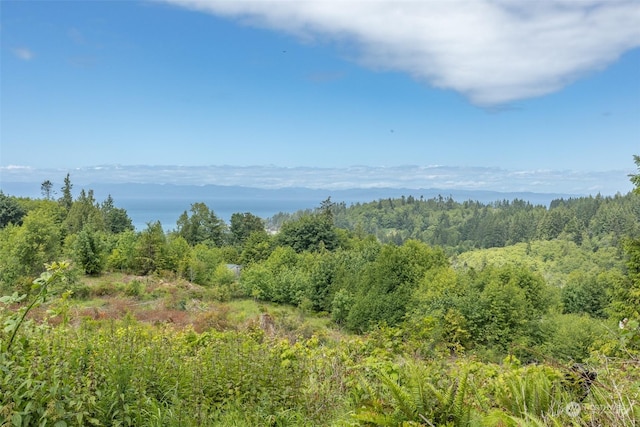 9999 Crescent Bay Ln, Port Angeles, WA 98363 - photo 2