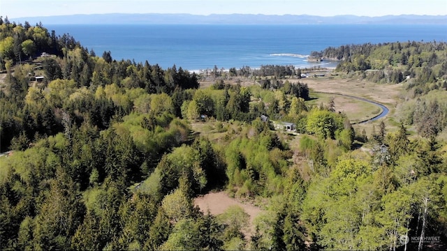 9999 Crescent Bay Ln, Port Angeles WA, 98363 land for sale