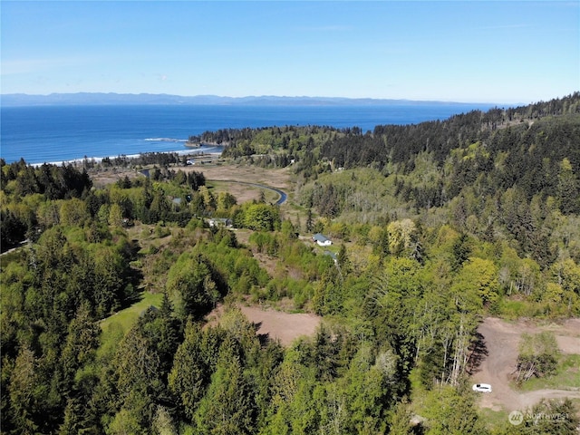 Listing photo 3 for 9999 Crescent Bay Ln, Port Angeles WA 98363