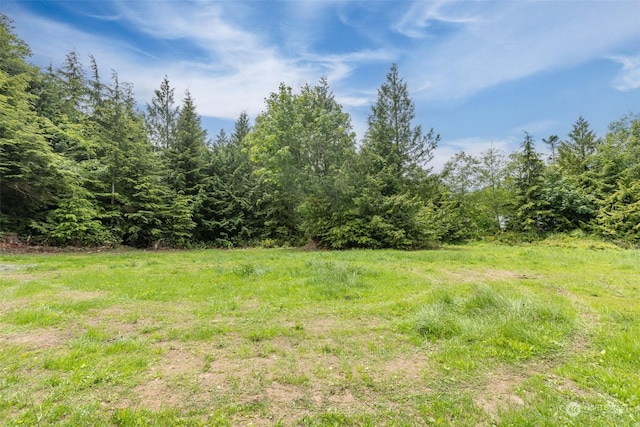 9999 Crescent Bay Ln, Port Angeles, WA 98363 - photo 7