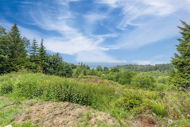 9999 Crescent Bay Ln, Port Angeles, WA 98363 - photo 8