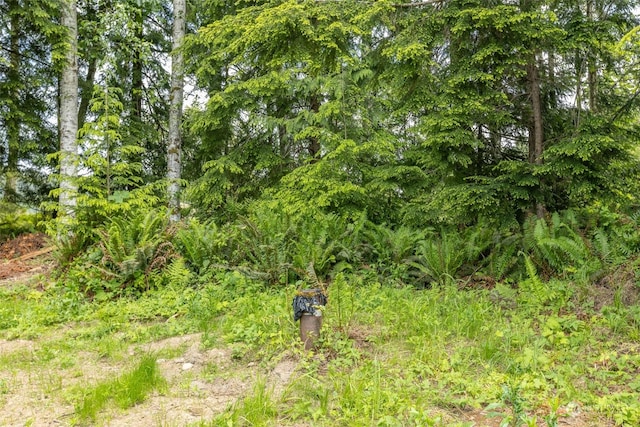 9999 Crescent Bay Ln, Port Angeles, WA 98363 - photo 13
